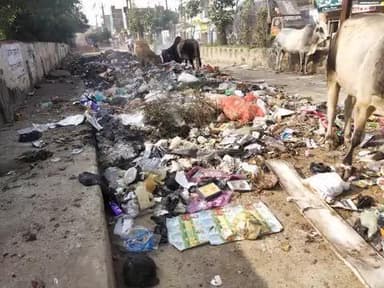 बीटी आई स्कूल वार्ड 11 भिंड के बाहर मेन, सड़क पर लगा कचरे ढ़ेर स्वच्छ मिशन का ढिंढोरा पीटा जा रहा है