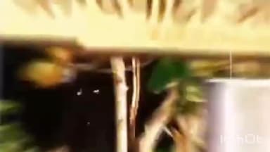 सिंदेवाही: सिदेवाहि शहरात रेल्वे मालधक्का उभारणीला नागरिकांनी केला तीव्र विरोध