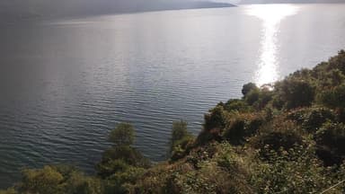 टिहरी झील पर गाय मरने बाद गंगा में डाल देते हे जिसमें पानी
दुर्गंध आ रही है सभी लोग इसी पानी को पीते हैं