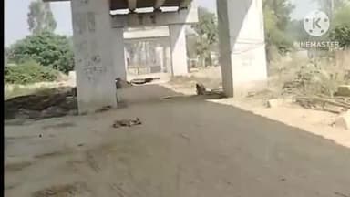 पानीपत: पानीपत खुखराना में निर्माणघिन फ्लाईओवर का काम अधर में लटकने से ग्रामीण परेशान।आने जाने में हो रही भारी परेशानी#jansmsya