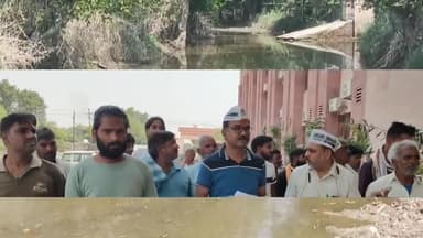 मथुरा: बाढ़ के बाद बिरला मंदिर क्षेत्र में जल भराव और गंदगी से लोग परेशान, नगर निगम कार्यालय पहुंचकर की शिकायत #jansamasya