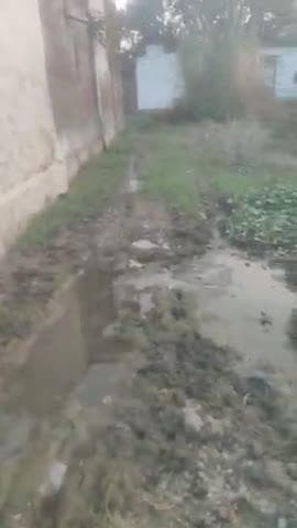 ग्राम पंचायत उलाई खड़ा गांव बमनपुर में नहीं कराया गया खड़ाजा पुराना ले गया प्रधान
