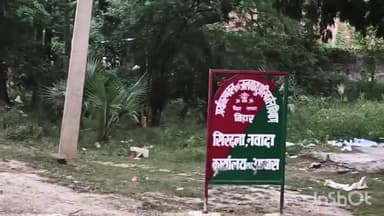 सिरदला: वन विभाग के कार्यालय के आगे सड़क पर लटक रहा पेड़, कभी भी हो सकती है बड़ी दुर्घटना। #jansamasya #forest