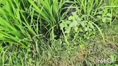 मुंगेर: #आगामी_विधानसभा_चुनाव_2025 के दृष्टिगत विधि-व्यवस्था संधारण एवं सुरक्षा व्यवस्था को सुदृढ़ करने के उद्देश्य से