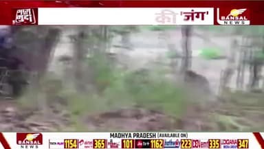 #बैकफुट पर #नक्सली, चली बयानों की गुगली
BANSAL न्यूज़ - 1
#नक्सल #naksal #Bastar #बस्तर #छत्तीसगढ़ #chhattisgarh #ChhattisgarhNews #नक्सलवाद