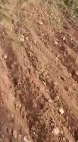 Shikari gram mein banko lekar Kiya hamla