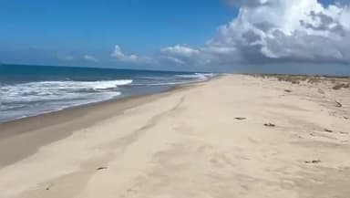 கீழக்கரை: திருப்புல்லாணி அருகே இலங்கைக்கு கடத்துவதற்காக  பதுக்கி வைத்திருந்த ரூ.3 லட்சம் மதிப்பிலான 1200 கிலோ சமையல் மஞ்சள் மூட்டைகள் பறிமுதல்