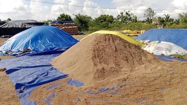 செய்யூர்: இலத்தூர் பகுதியில் முப்பதாயிரத்துக்கும் மேற்பட்ட நெல் மூட்டைகள் மழையில் நனைந்து நாசம்