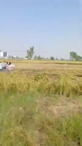 ਮਖੂ: ਪਿੰਡ ਪੀਰ ਮੁਹੰਮਦ ਵਿਖੇ ਜਮੀਨੀ ਵਿਵਾਦ ਦੇ ਚਲਦਿਆਂ ਮਹਿਲਾ ਦੀ ਕੀਤੀ ਗਈ ਕੁੱਟਮਾਰ ਵੀਡੀਓ ਆਈ ਸਾਹਮਣੇ