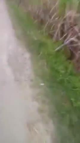 Lakhai me tendua dekha gaya kisan log bhaibheet hain kripya savdhani barte bachcho ko kheto me na bheje