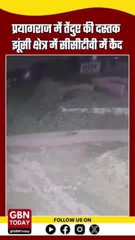 तेंदुआ शहर में! प्रयागराज के झूंसी में CCTV में कैद, गंगा किनारे दिखा अदृश्य शिकारी #gbntoday #PrayagrajNews