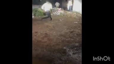 उल्हासनगर: बापरे! उल्हासनगर मधील मानोरे गावातील घरात शिरला भला मोठा अजगर, अंगावर थरकाप आणणारा व्हिडिओ आला समोर