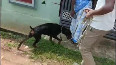 ಹೆಗ್ಗಡದೇವನಕೋಟೆ: ಎಚ್ ಡಿ ಕೋಟೆಯಲ್ಲಿ ಕಳ್ಳರ ಕೈಚಳಕ ಪೋಲಿಸ್ ಮನೆಗೆ ಕನ್ನ ಅಪಾರ ಪ್ರಮಾಣದ ಚಿನ್ನಾಭರಣ ದೋಚಿದ ಖದೀಮರು.