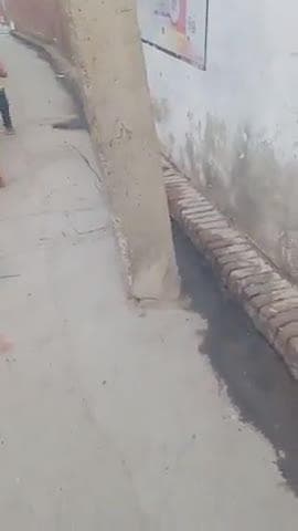 बिजली बिभाग की लापरवाही जान माल दोनो का नुकसान