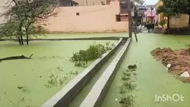 கே.வி.குப்பம்: தங்கள் பகுதியில் தேங்க நிற்கும் சாக்கடை நீரோடு சேர்ந்த மழை நீரை அகற்றுக்குறி குடியாத்தம் வீடியோ அலுவலகம் முன்பு தர்ணா