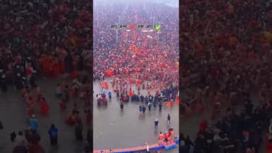 Magh Mela 2026 🔥 के लिए #prayagraj #maghmela2026 #kumbhmela #mahakumbh #viralreels #reelinstagram