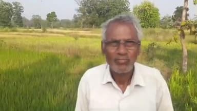 तिरोड़ी: पठार अंचल में कीट प्रकोप से धान की फसल चौपट, किसानों ने तहसीलदार को सौंपा ज्ञापन