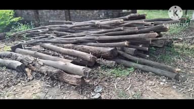 पदमा: गयपहारी में वन विभाग के अधिकारियों ने अवैध लकड़ी का बोटा ज़ब्त किया
