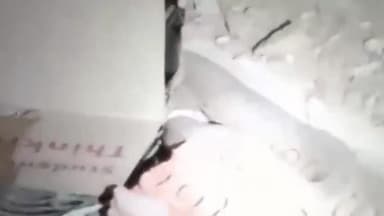 बरहज: देउबारी गांव में घर की सफाई के दौरान मिला 10 फीट लंबा अजगर, महिला बेहोश हुई