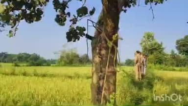 খাতড়া: ধানজমির গাছে যুবকের ঝুলন্ত দেহ, খাতড়ায় চাঞ্চল্য