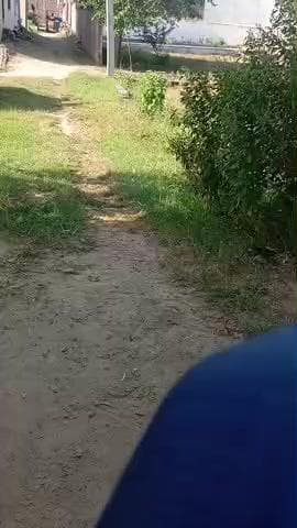 काशीपुर के गांव बरखेड़ा के प्रधान की पहल