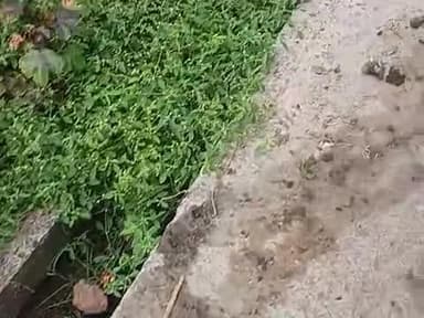 Mera name sunil Ahirwar me ward no 1se mera ghar ke idar ki kai dino se sap sapai nhi ho rahi hai jiske karan hume kahi