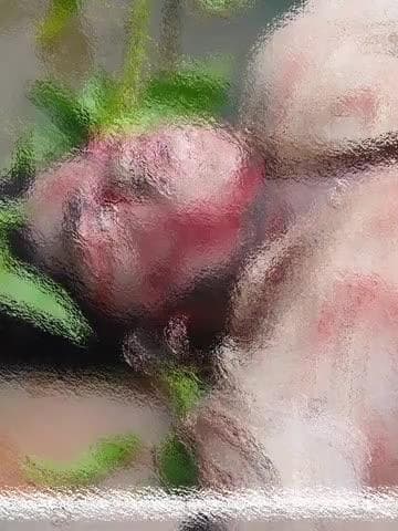 తూప్రాన్: తూప్రాన్ పిఎస్ పరిధిలో గుర్తుతెలియని శవంలభ్యం.
ఎస్సై తూప్రాన్ 8712657928
ఎస్సై 2 తూప్రాన్8712657929
సిఐ తూప్రాన్57927