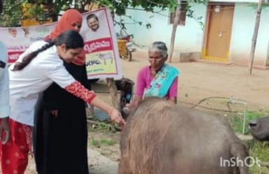 లింగాల: ఉచిత గాలికుంటు వ్యాధి టీకాల పంపిణీ కార్యక్రమాన్ని సద్వినియోగం చేసుకోండి లింగాల పశువైద్యాధికారిణి డాక్టర్ ప్రియాంక