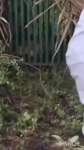 ಅಜ್ಜಂಪುರ: ಬೋನಿಗೆ ಬಿದ್ದ ಚಿರತೆ.! ನೆಮ್ಮದಿಯ ನಿಟ್ಟುಸಿರು ಬಿಟ್ಟ ಕಾರೇಹಳ್ಳಿಯ ಜನ.!