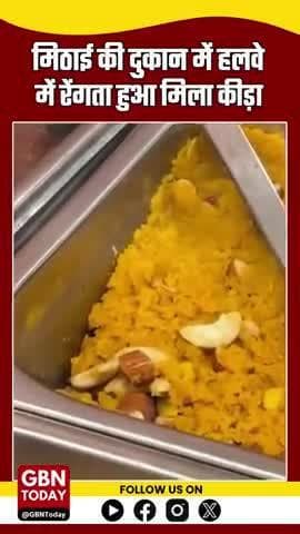 गरम हलवे में कीड़ा घूमता वीडियो हुआ वायरल। #gbntoday #DiwaliAlert #FoodSafety #FakeSweets #StaySafe #viralvideo