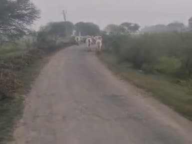 santar baberu banda uttar pradesh