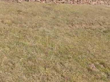 गैर आदिवासी द्वारा लूट जा रहा है गरीब आदिवासी का जमीन
