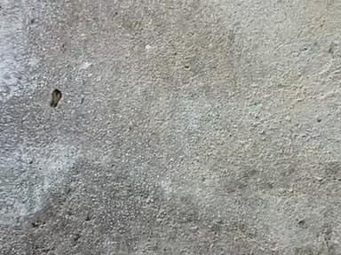 hi I'm good and youmy name is color mein