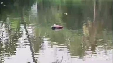 বাগনান ১: বাগনান খালোড় পশ্চিমপাড়া পুকুর থেকে উদ্ধার এক মহিলার মৃতদেহ।