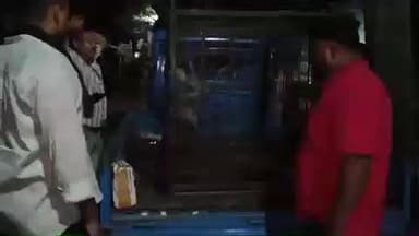 पाकुड़िया: पाकुड़िया के पलियादाहा में पागल हनुमान ने दर्जनो को किया जख्मी रैश्क्यू टीम ने पकड़ा #Animal
