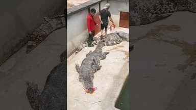 #But #shorts #viralnews #viralreels #trending #letest #trending #trendingshorts