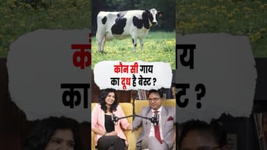कौन सी गाय का दूध है Best #cowmilk #cow #nutrition #felix