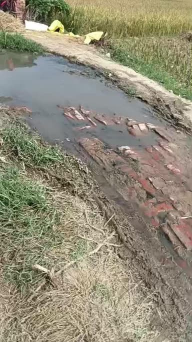 Gram khanpur madhmwa ka road
Aisa road Jo aapko sidhe narak me lekar Jayega #viral #trendingreelsvideo