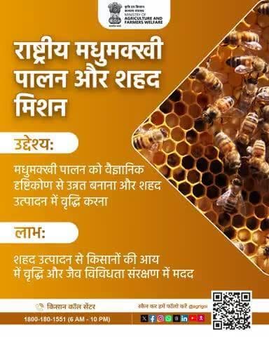 राष्ट्रीय मधुमक्खी पालन मिशन: वैज्ञानिक पालन से शहद उत्पादन, किसानों की आय व जैव विविधता संरक्षण को बढ़ावा। #BeeKeeping