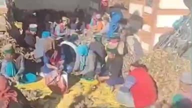 पूह: किन्नौर के रोपा घाटी में महिलाओं ने दिखाई एकजुटता, चिलगोज़े के फल से किया चिलगोज़ा अलग