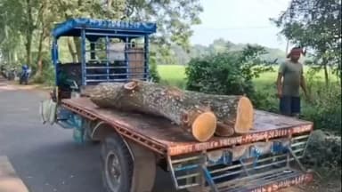 কালনা ২: বাদলা পঞ্চায়েতের প্রধানের নির্দেশে সরকারি গাছ কেটে ফেলার অভিযোগ, পুলিশ করলো বাজেয়াপ্ত গাছ,অভিযোগ অস্বীকার প্রধানের