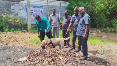 திண்டிவனம்: தைலாபுரம் பகுதியில் உள்ள பாமக நிறுவனர் மருத்துவர் ராமதாஸ் வீட்டிற்கு தொலைபேசி மூலமாக வெடிகுண்டு மிரட்டல்.