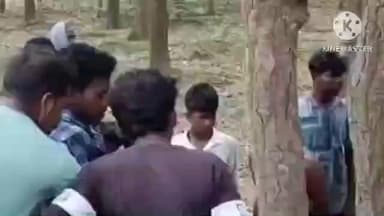 জয়পুর: দ্রুত গতিতে বাইক নিয়ে কুচিয়াকোলে ভয়াবহ দুর্ঘটনা, দ্রুত গতিতে বাইক চালাতে গিয়ে জঙ্গলের শাল গাছে ধাক্কা, মৃত দুই