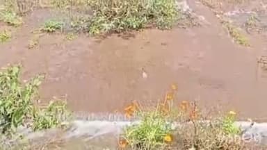 ತರೀಕೆರೆ: ತುಂಬಿ ಕೋಡಿ ಬಿದ್ದ ಲಿಂಗದಹಳ್ಳಿ ಊರ ಮುಂದಿನ ಕೆರೆ.!