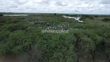 பரமக்குடி: தேர்த்தங்கல் கிராமத்தில் பறவைகள் சரணாலயம் உள்ளதால் அப்பகுதி கிராம மக்கள் பட்டாசு வெடிக்காமல் தீபாவளி கொண்டாடுகின்றனர்