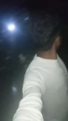 "बीरसिंहपुर में विशाल पीपल गिरा, बिजली टूटने के बावजूद कोई हताहत नहीं – बड़ा संकट टला!"#vira