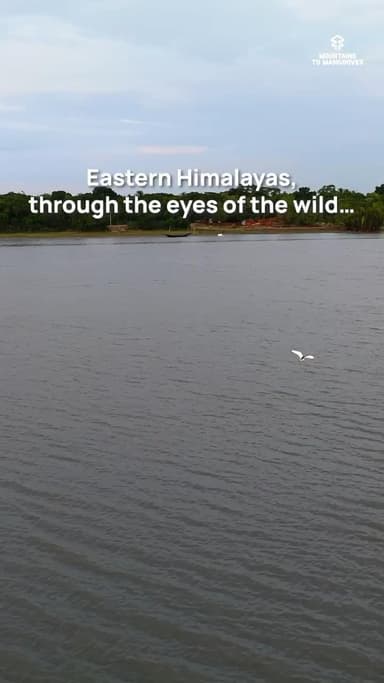 Stories from biodiversity from the #EasternHimalayas, coming soon.