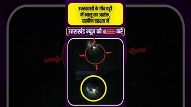 उत्तरकाशी के गीठ पट्टी में भालू का आतंक, ग्रामीण दहशत में #bearattack #haldwaninews #viralvideo