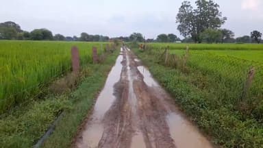 विजयराघवगढ़: डीघी से खेरवा सड़क निर्माण में किय गया भ्रष्टाचार,एक साल पूर्व सड़क बनने के बाद भी ग्रामीणों को आवागमन परेशान #janamasya