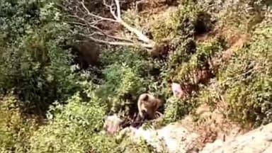 कंडाघाट के वाकना घाट में शव मिलने से क्षेत्र में फैली सनसनी,पुलिस थाना कंडाघाट की टीम कर रही गहनता से जांच #hillsnews24